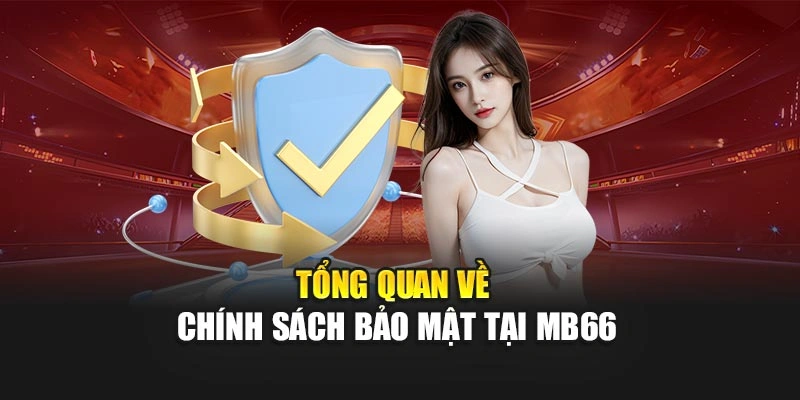 Tổng quan về chính sách bảo mật tại MB66